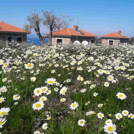 Ktima Kiourelioti Villa Skala Sykamineas Bagian luar foto